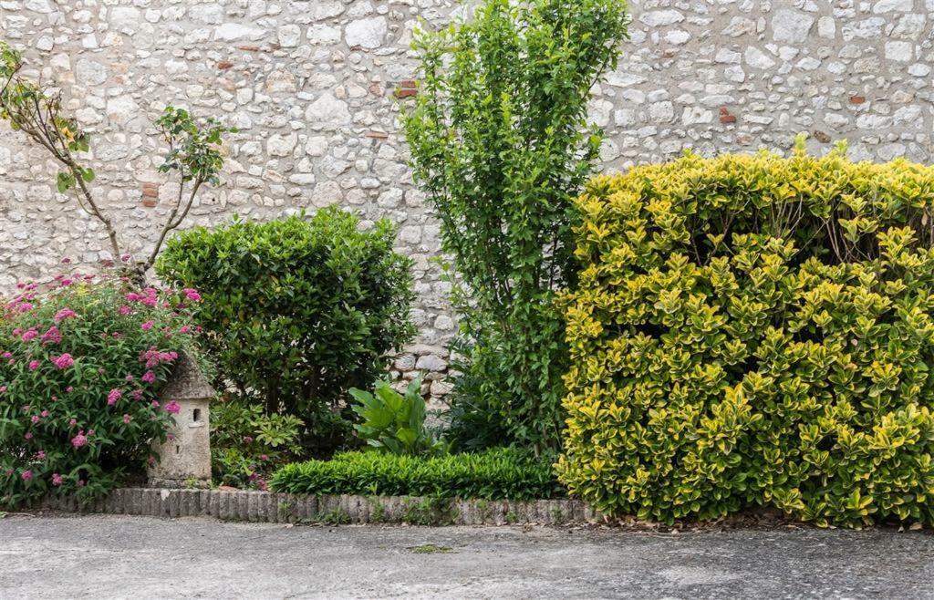 Hotel Du Cygne De La Croix Blanche Lailly-en-Val Zewnętrze zdjęcie